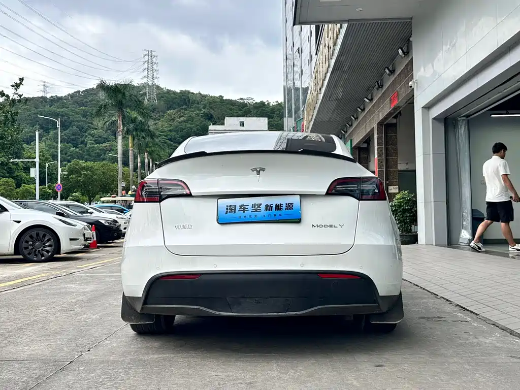 Tesla Model Y — миниатюра 6