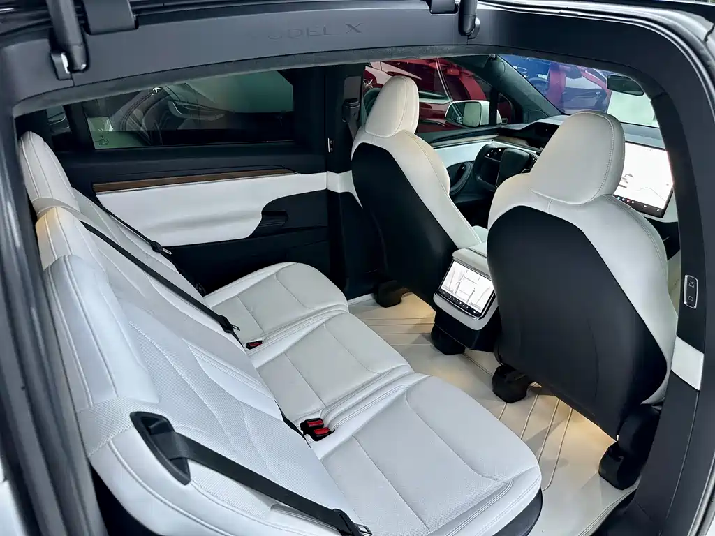 Tesla Model X — миниатюра 13