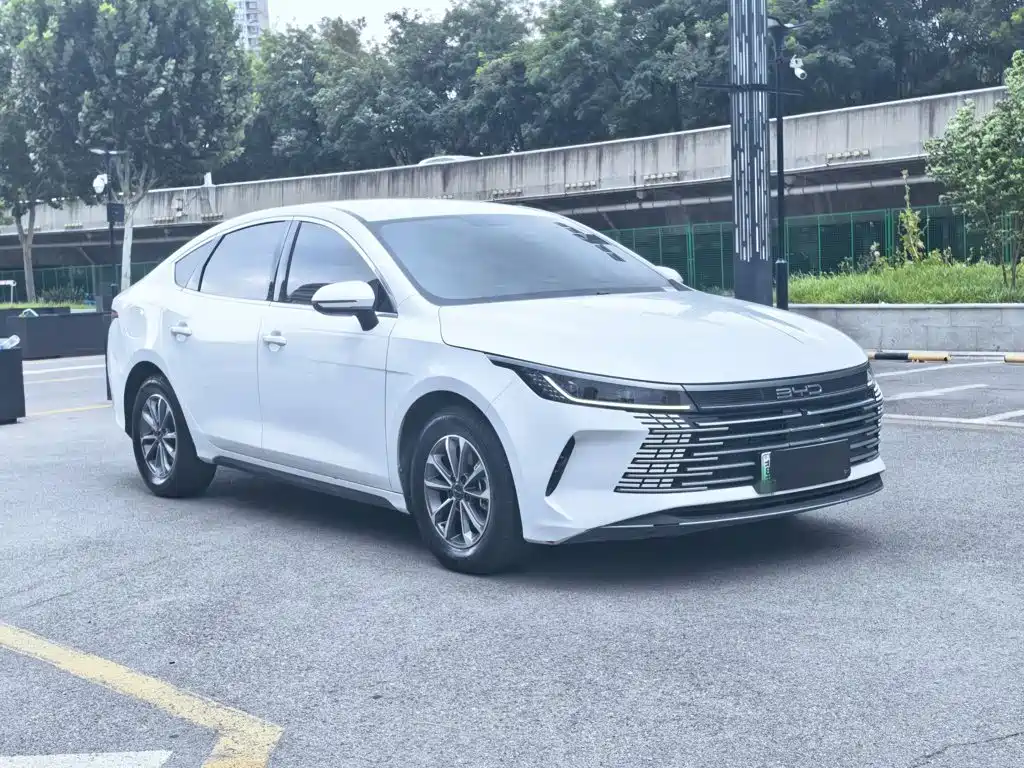 BYD Destroyer 05 — миниатюра 6