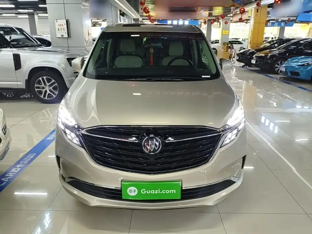 Buick GL8 — миниатюра 3