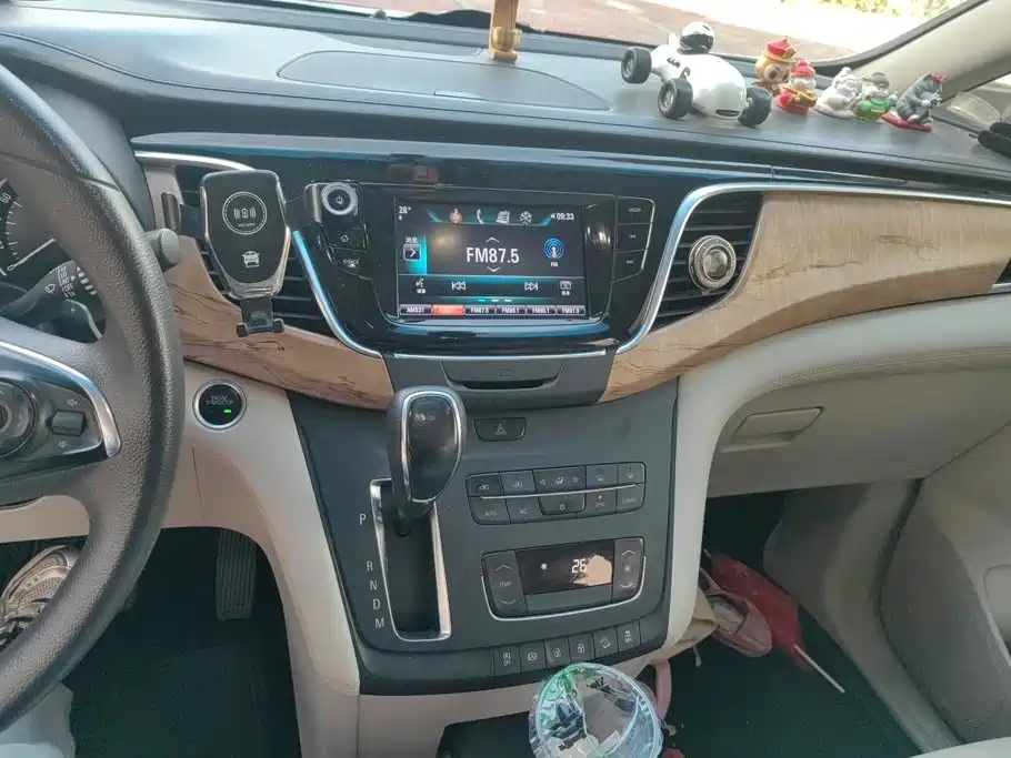 Buick GL8 — миниатюра 13