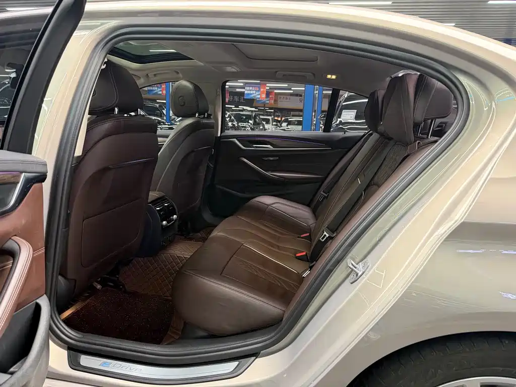 BMW 5 Series New Energy 530Le Luxury Package, фото 7
