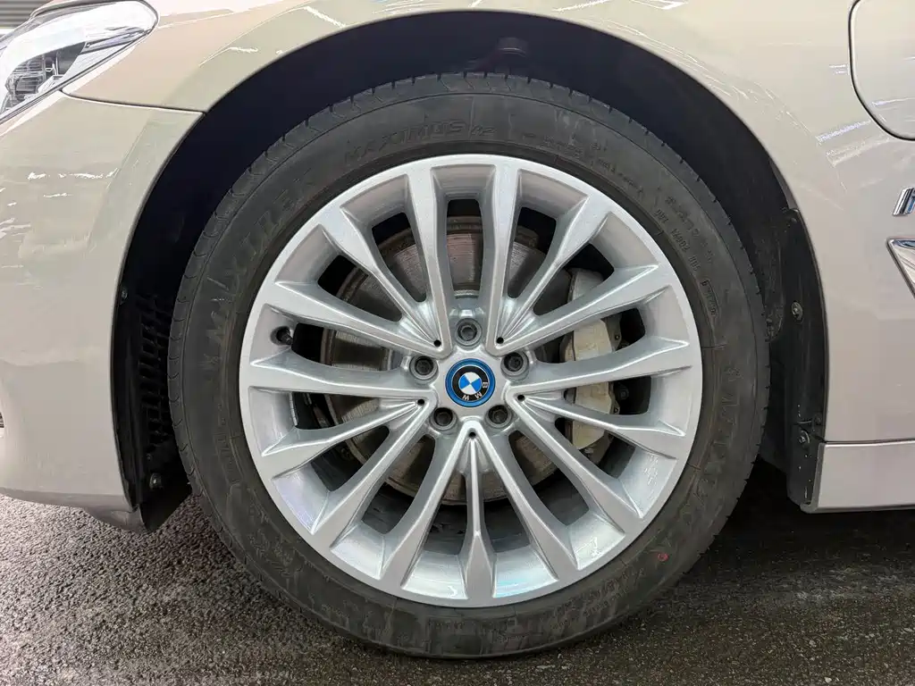 BMW 5 Series New Energy 530Le Luxury Package, фото 4