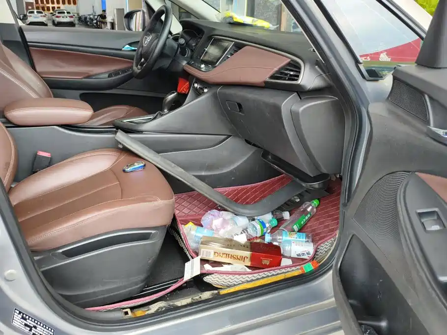 Buick GL6 — миниатюра 8