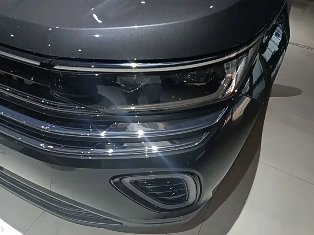 Volkswagen Tavendor — миниатюра 24