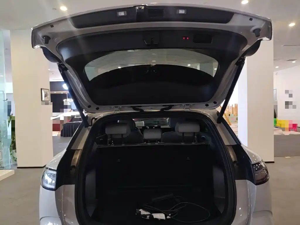 BYD Haisi 06 — миниатюра 19