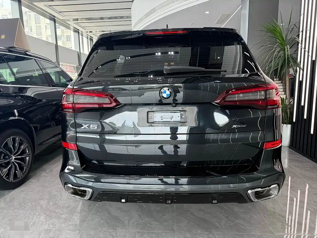 BMW X5 — миниатюра 9