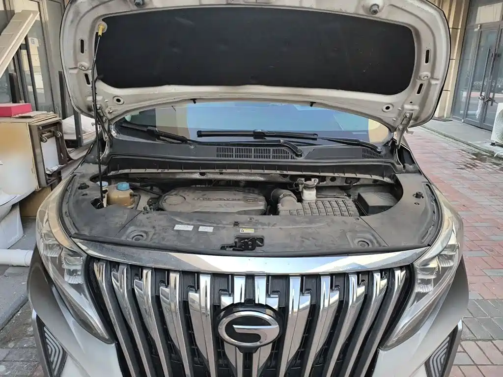 GAC Motor Trumpchi M8 — миниатюра 11