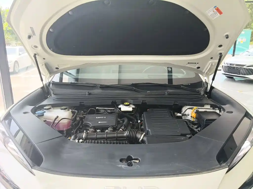 BYD Haisi 06 — миниатюра 20