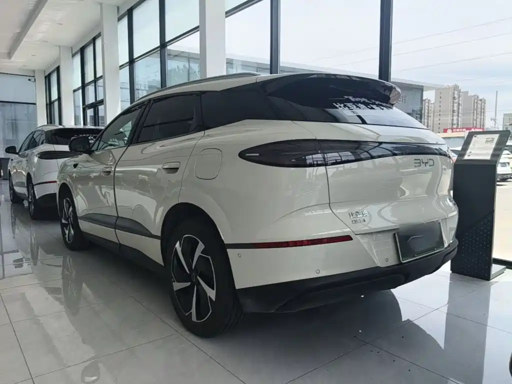 BYD Haisi 06 — миниатюра 5