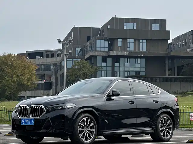 BMW X6 2024