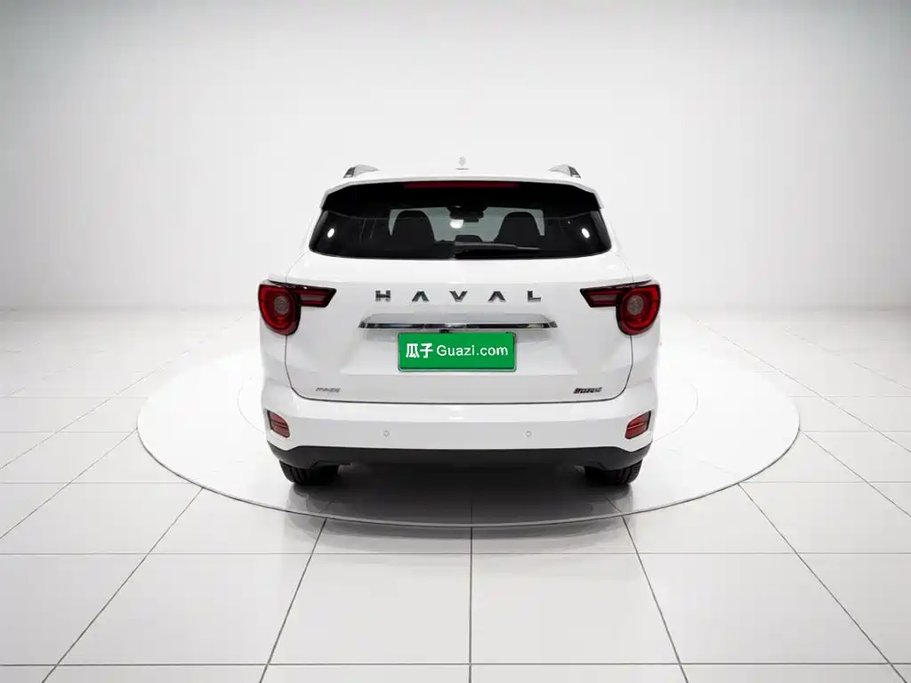 Haval Big Dog PLUS New Energy — миниатюра 2