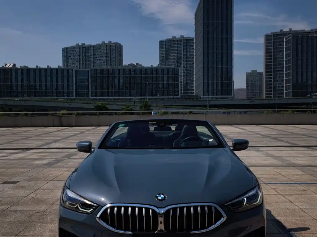 BMW 8 Series — миниатюра 3