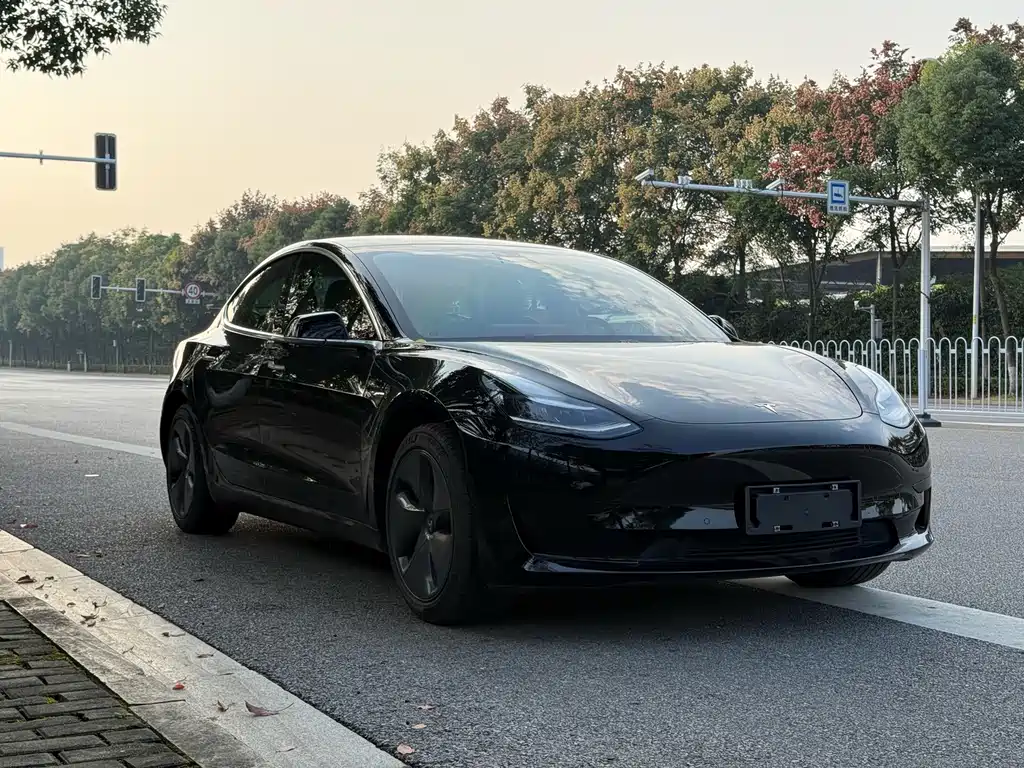 Tesla Model 3 — миниатюра 3