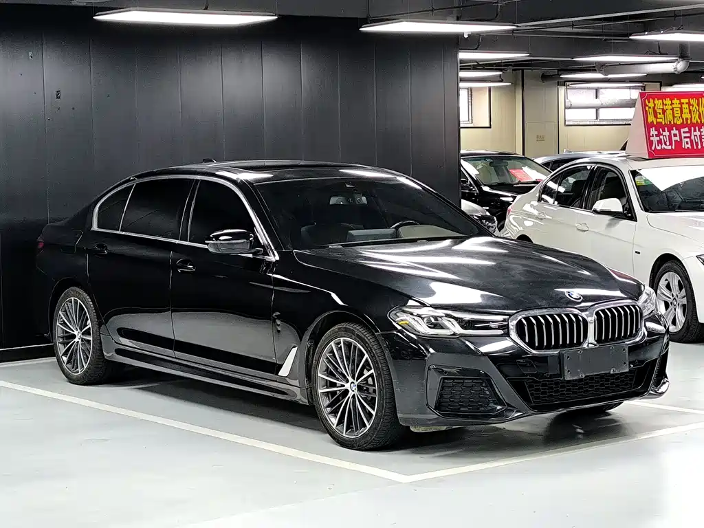 BMW 5 Series — миниатюра 3