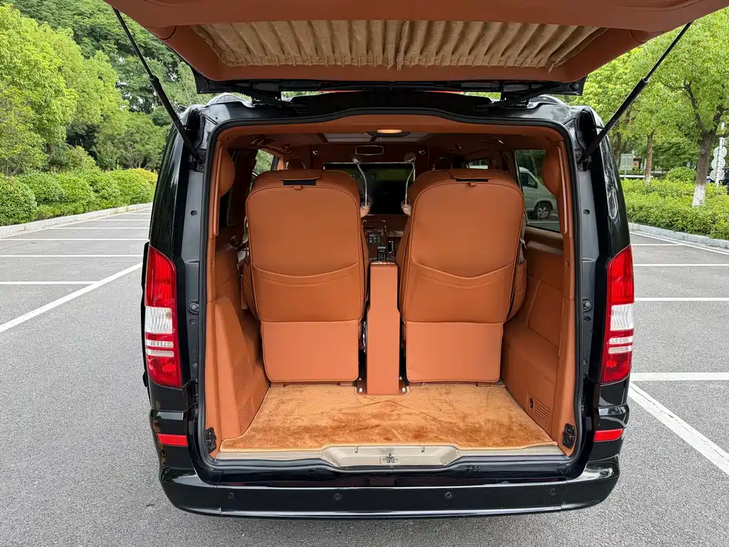 Mercedes-Benz Viano — миниатюра 8