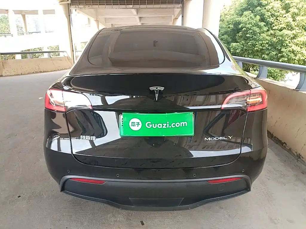 Tesla Model Y — миниатюра 6