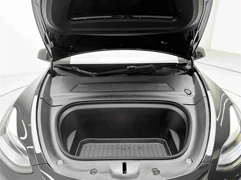 Tesla Model Y — миниатюра 5