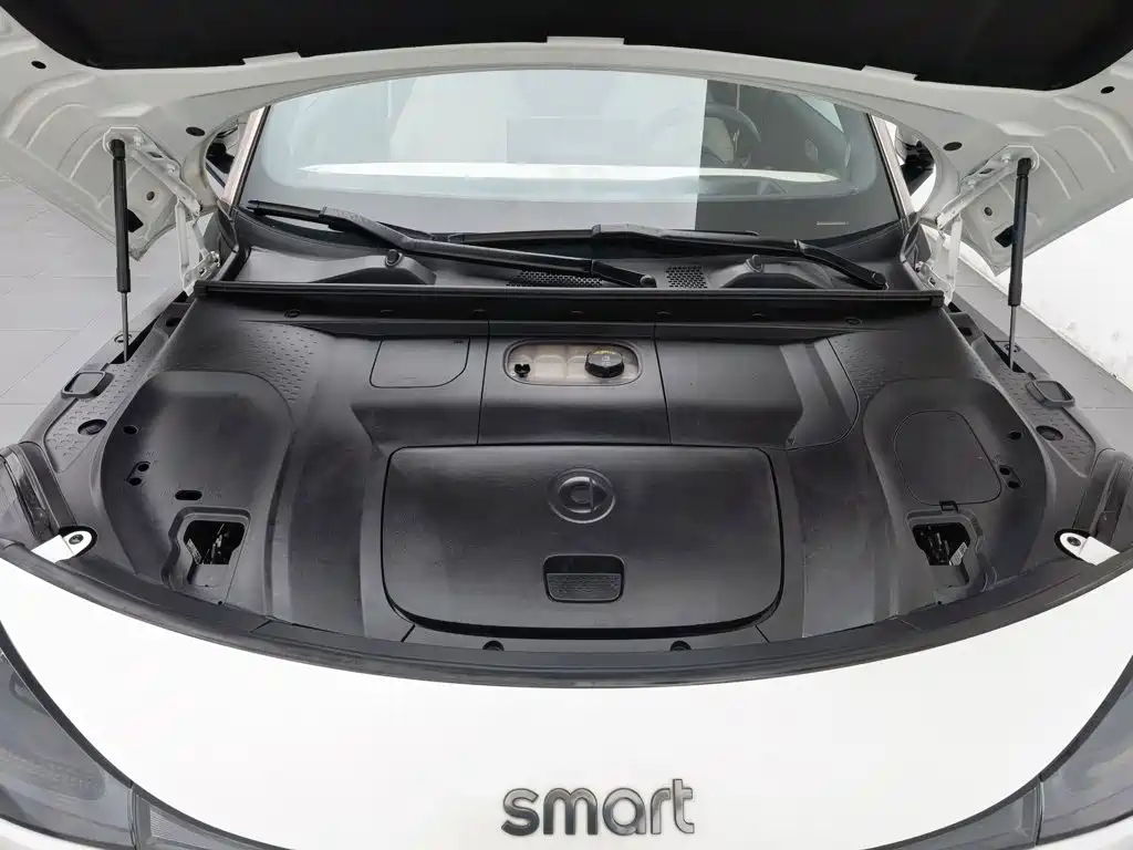 smart Smart #1 — миниатюра 6