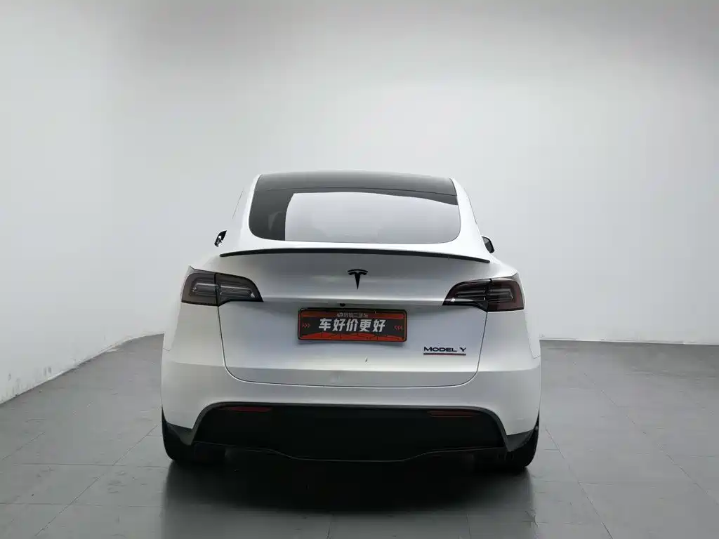 Tesla Model Y — миниатюра 4