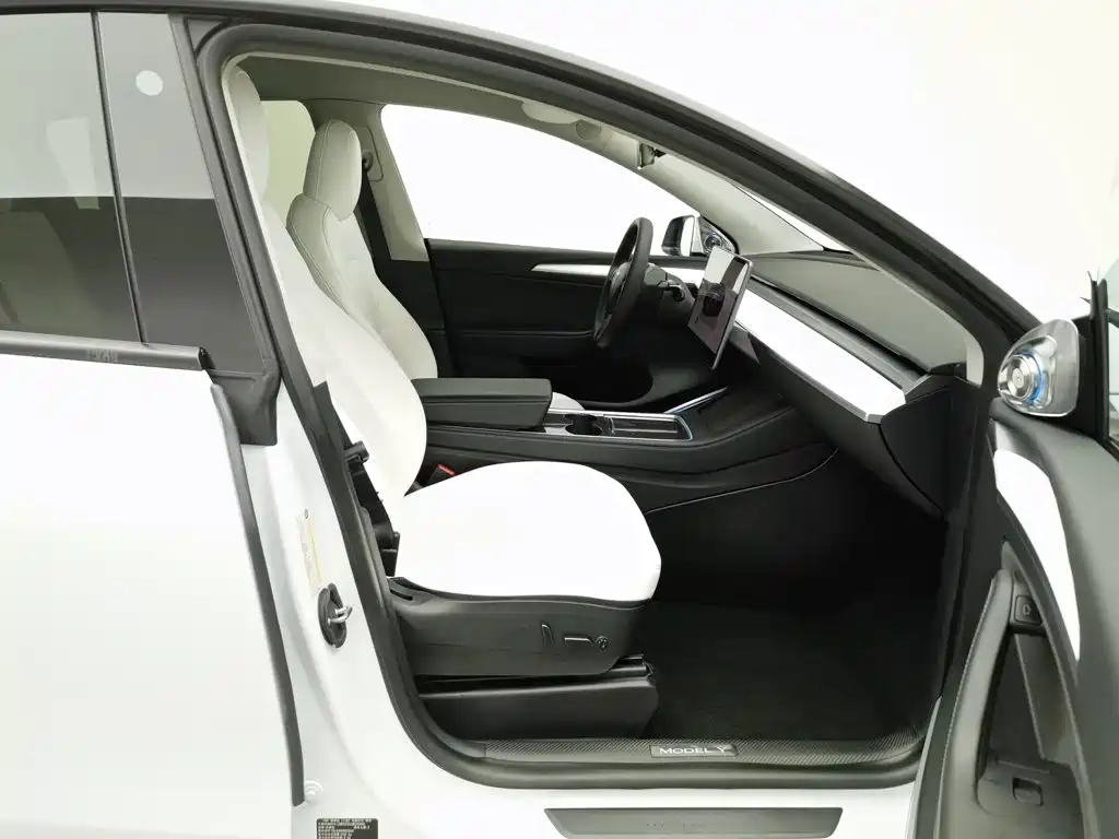 Tesla Model Y — миниатюра 23