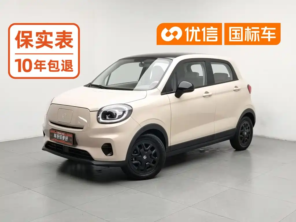 Leapmotor Leapmotor T03