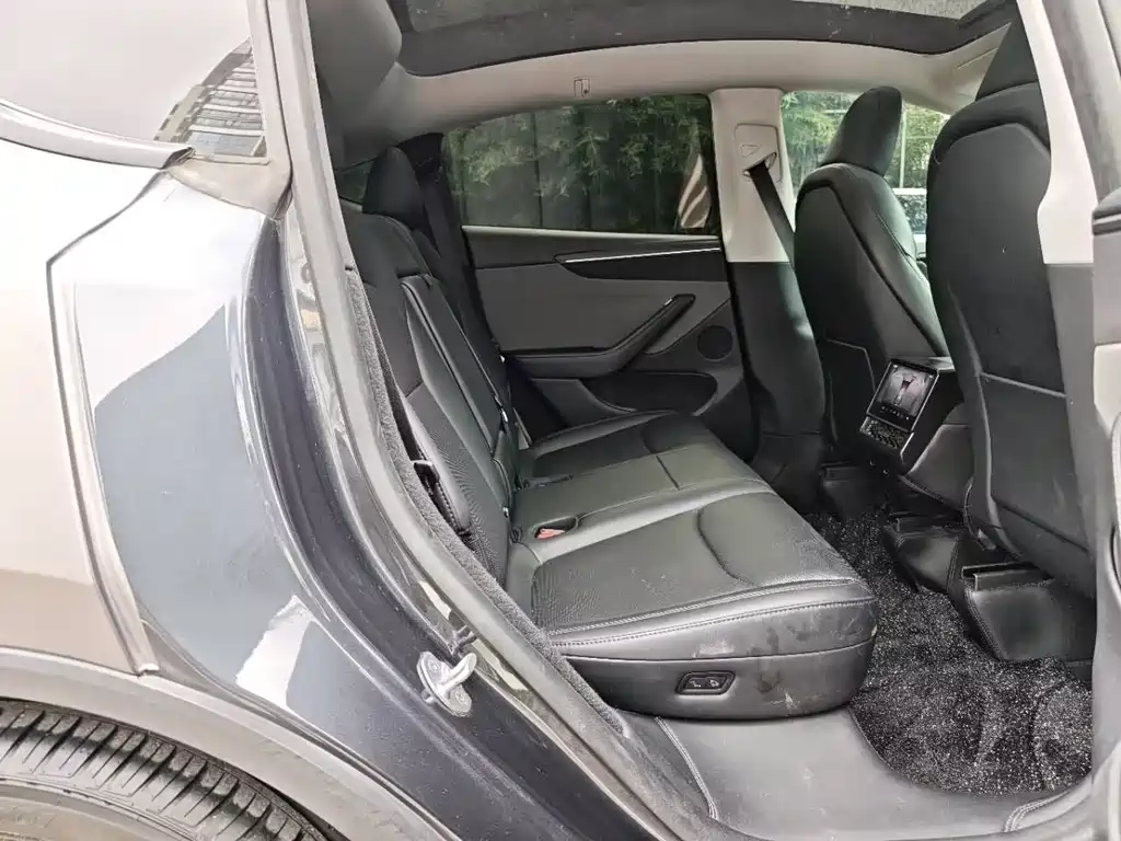 Tesla Model Y — миниатюра 14