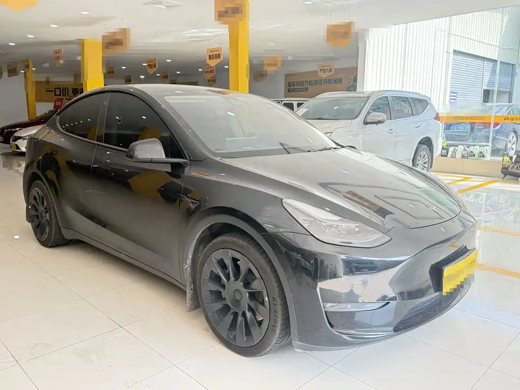 Tesla Model Y — миниатюра 3