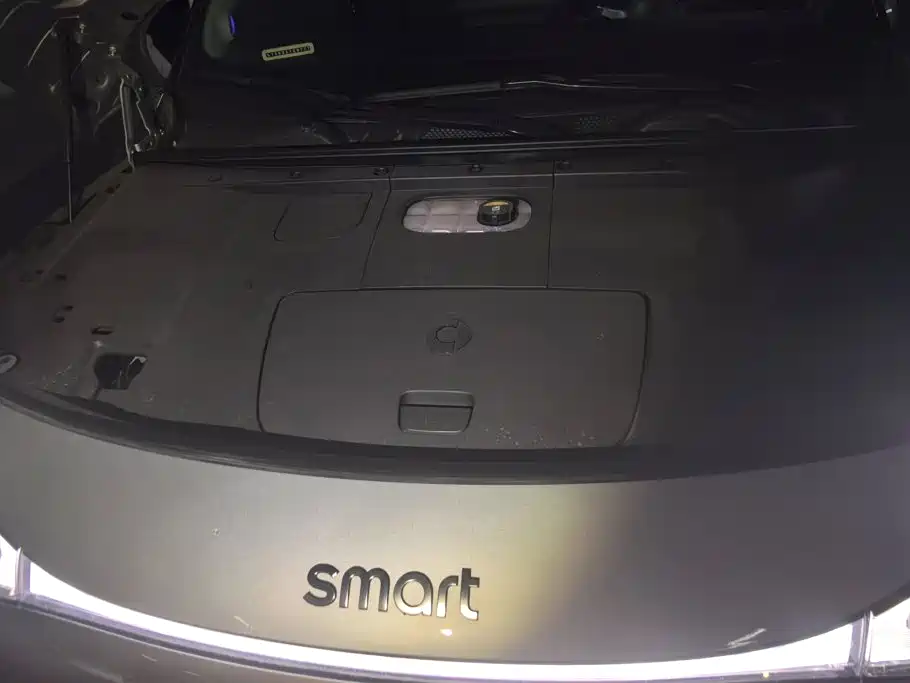 smart Smart #1 — миниатюра 10
