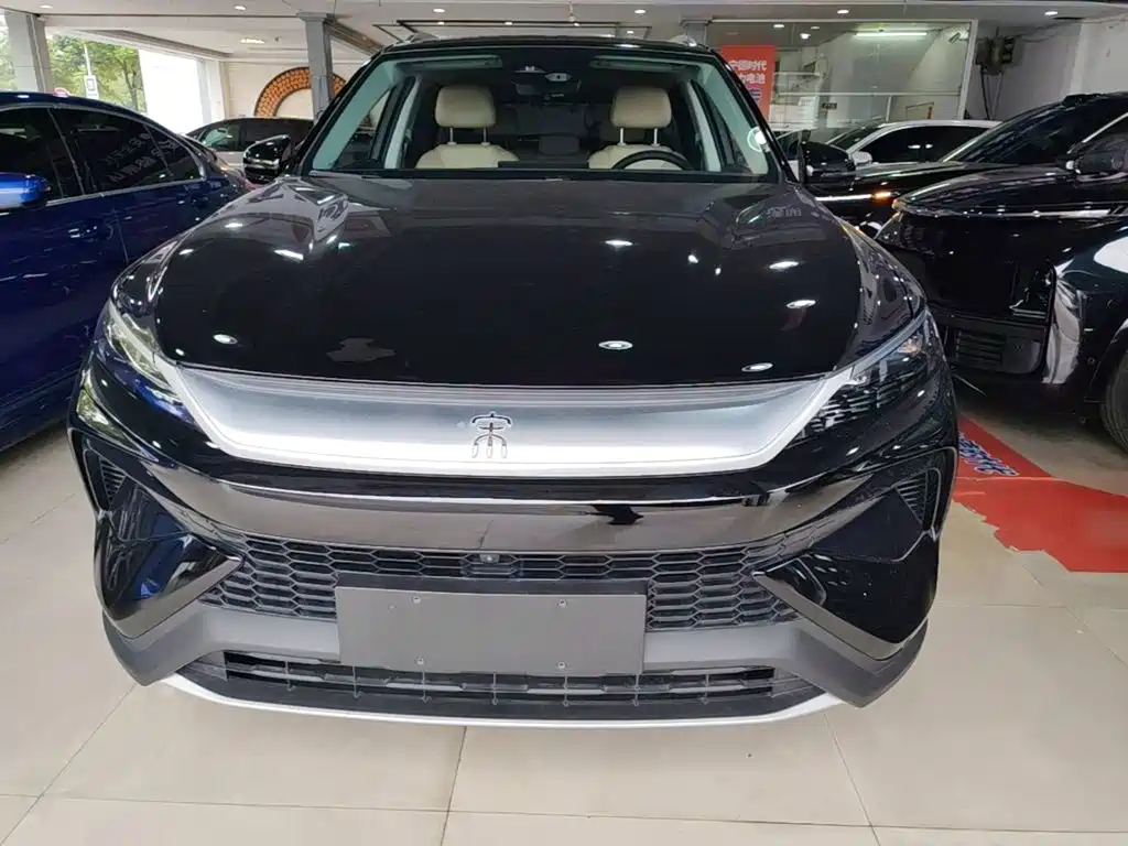 BYD Pro New Energy — миниатюра 3