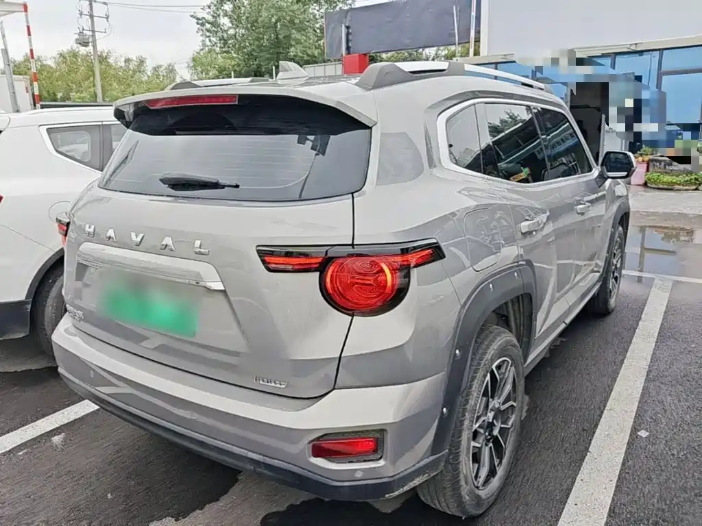 Haval Плюс новая энергия. — миниатюра 7