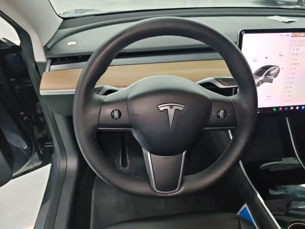 Tesla Model 3 — миниатюра 11