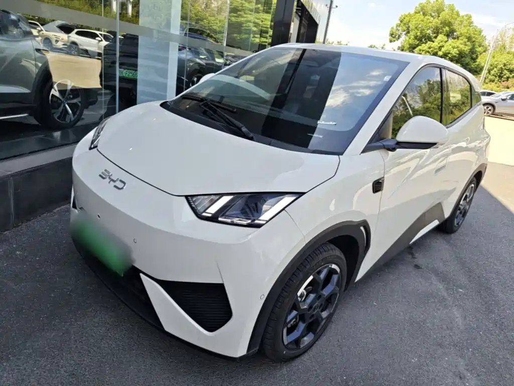 BYD Seagull