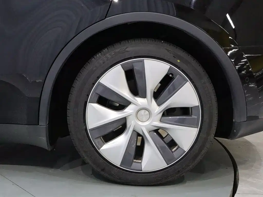 Tesla Model Y — миниатюра 21