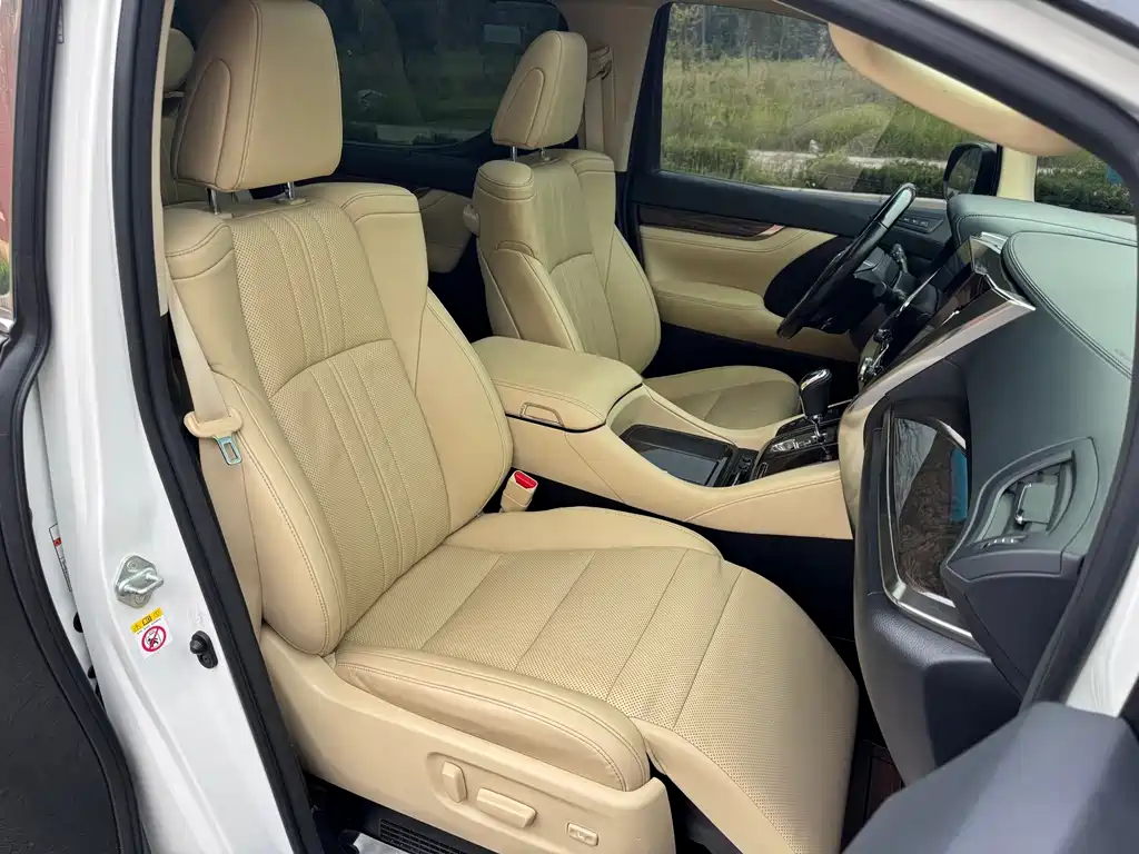 Toyota Alphard — миниатюра 8