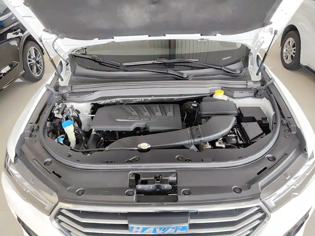 Haval H4 — миниатюра 20