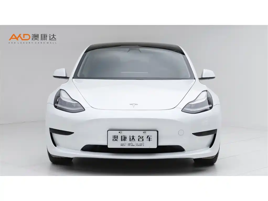 Tesla Model 3 — миниатюра 2