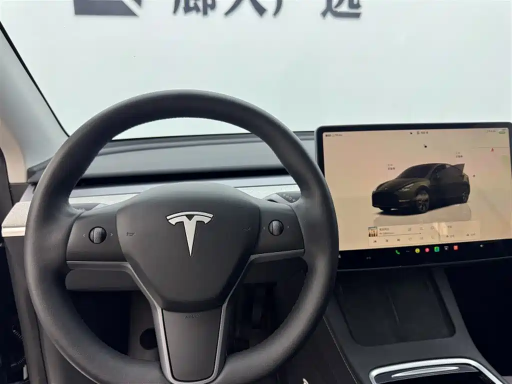 Tesla Model Y — миниатюра 11