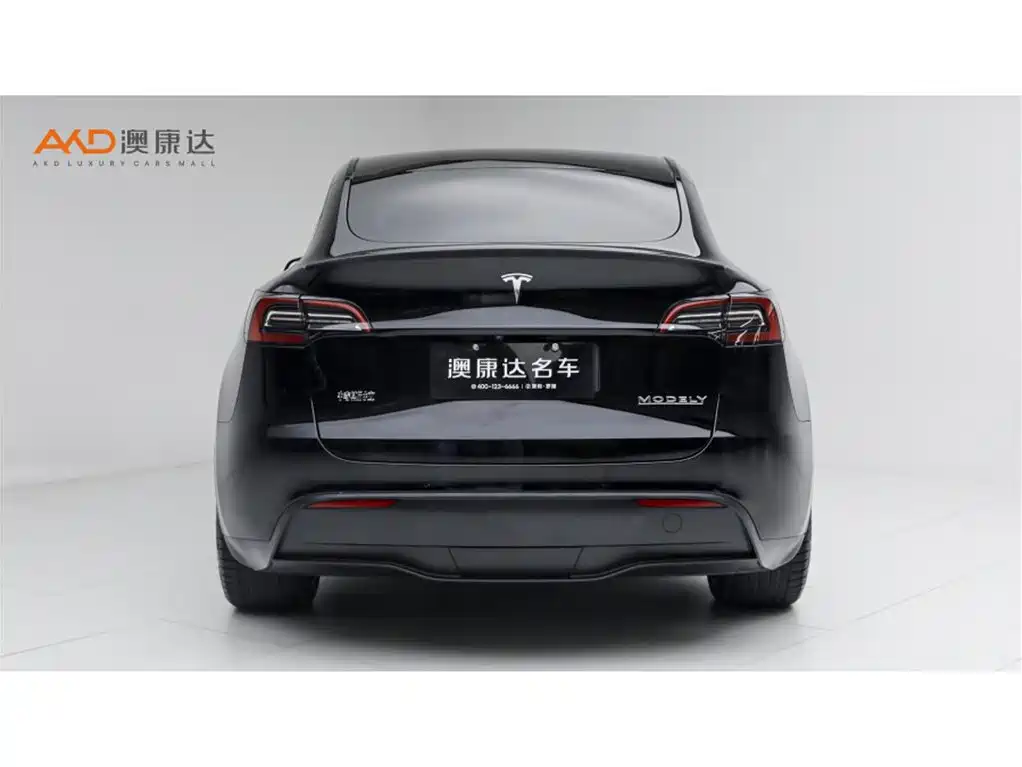 Tesla Model Y — миниатюра 4
