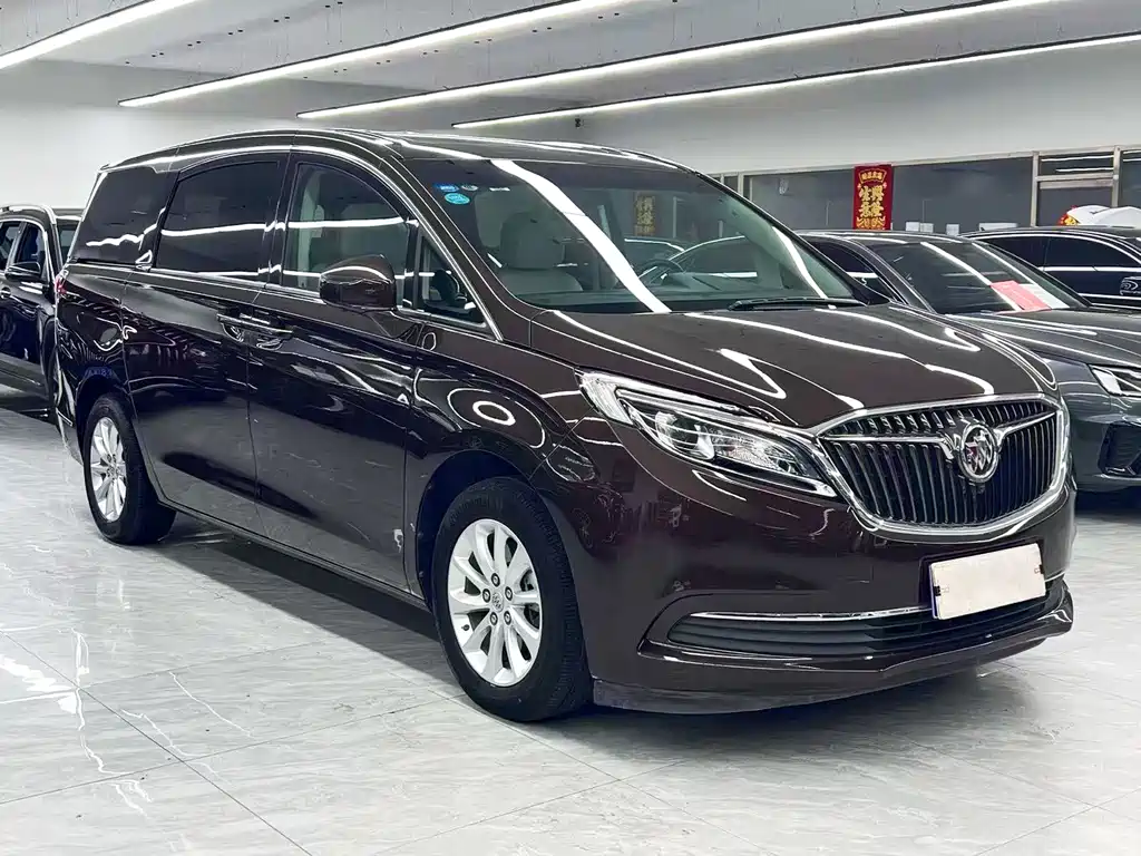 Buick GL8 — миниатюра 3