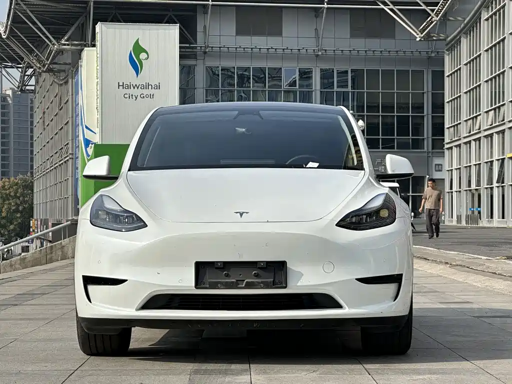 Tesla Model Y — миниатюра 2