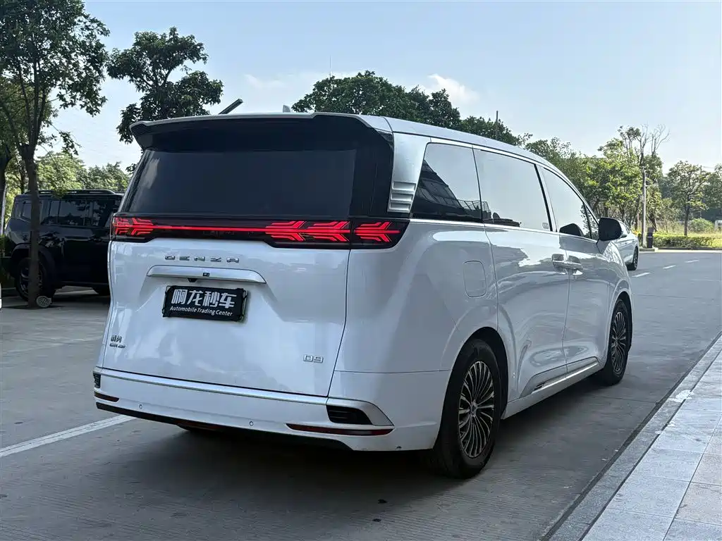Denza Denza D9 — миниатюра 9