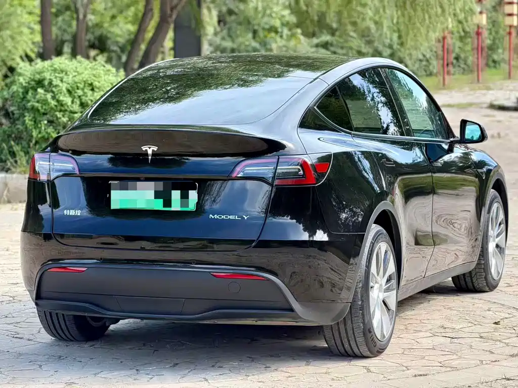 Tesla Model Y — миниатюра 19