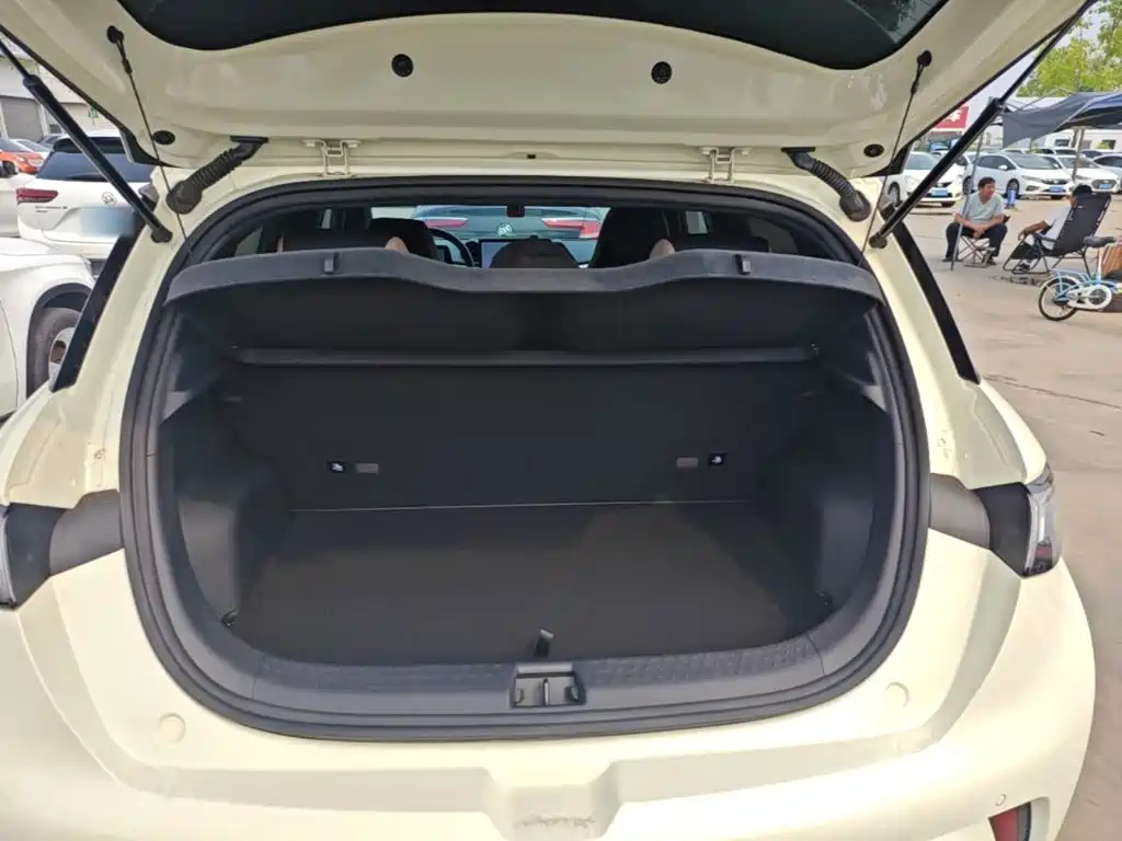 BYD Dolphin — миниатюра 19