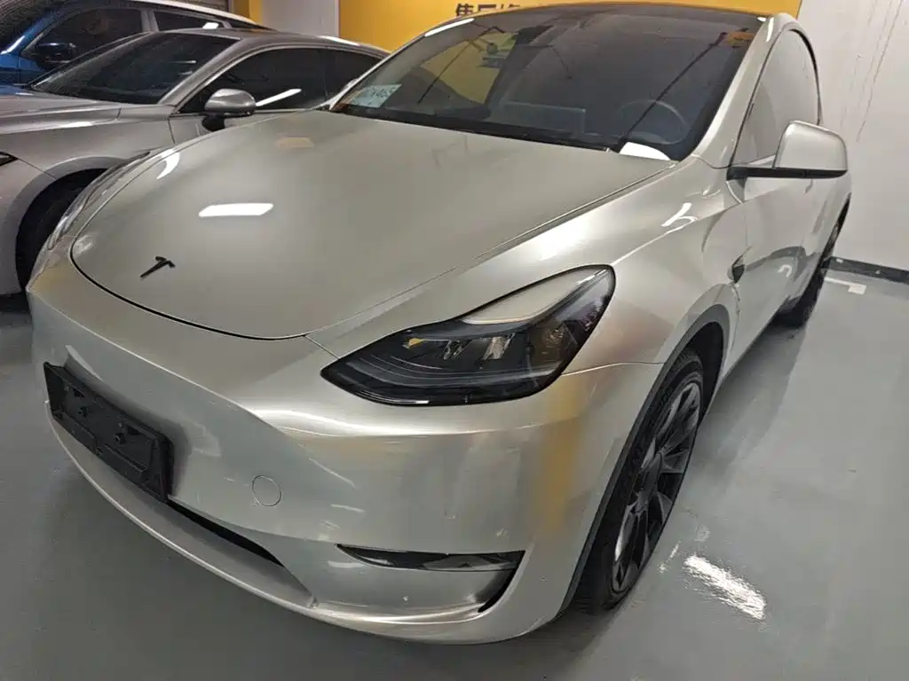 Tesla Model Y — миниатюра 2
