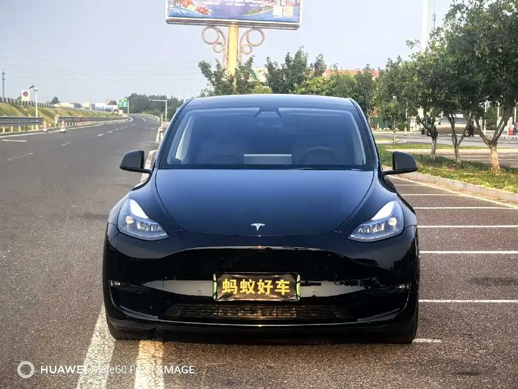 Tesla Model Y 2022 Performance