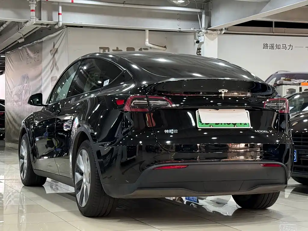 Tesla Model Y — миниатюра 14