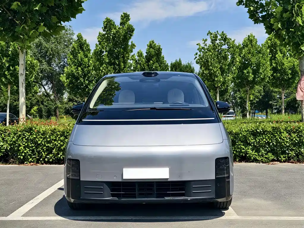 Li Auto MEGA 2025 Home