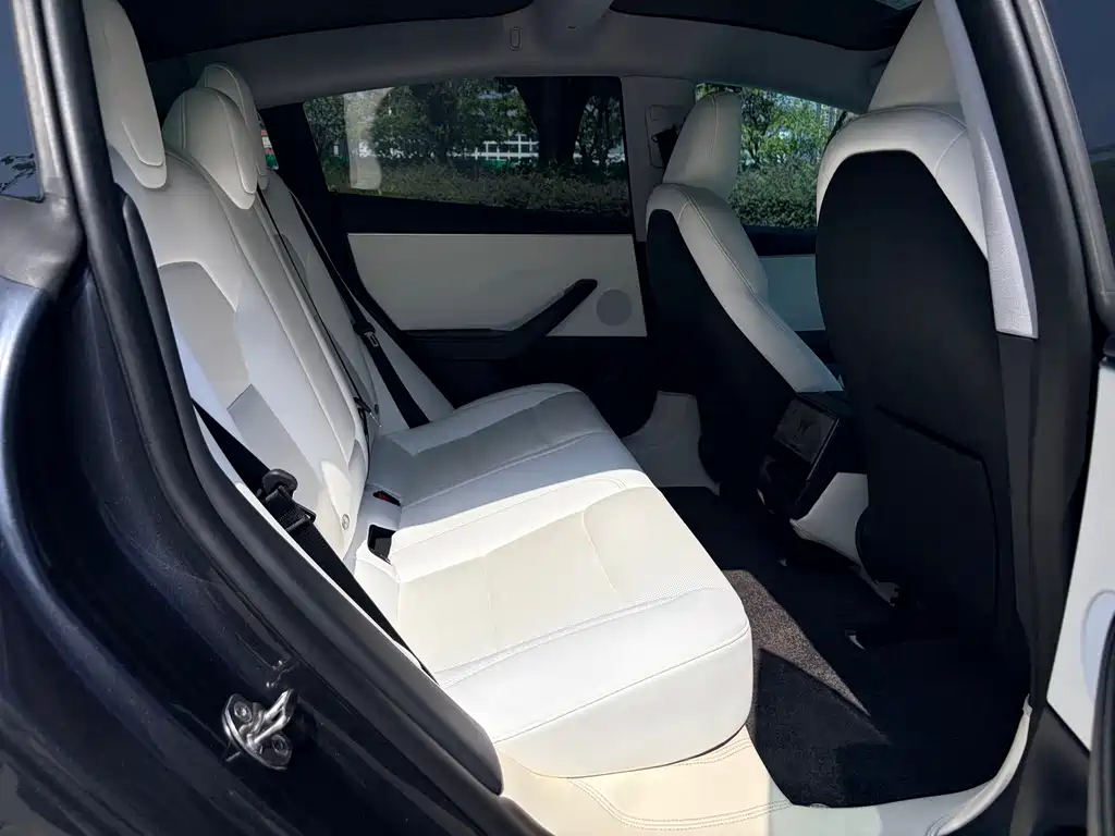 Tesla Model 3 — миниатюра 13