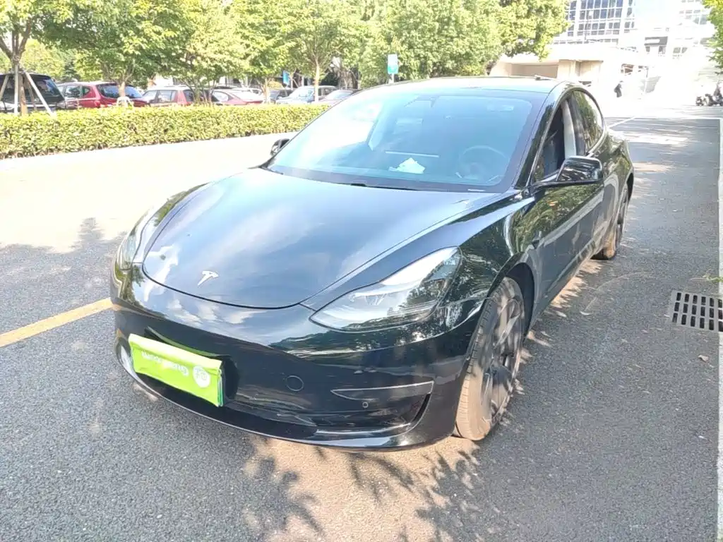 Tesla Model 3 — миниатюра 2